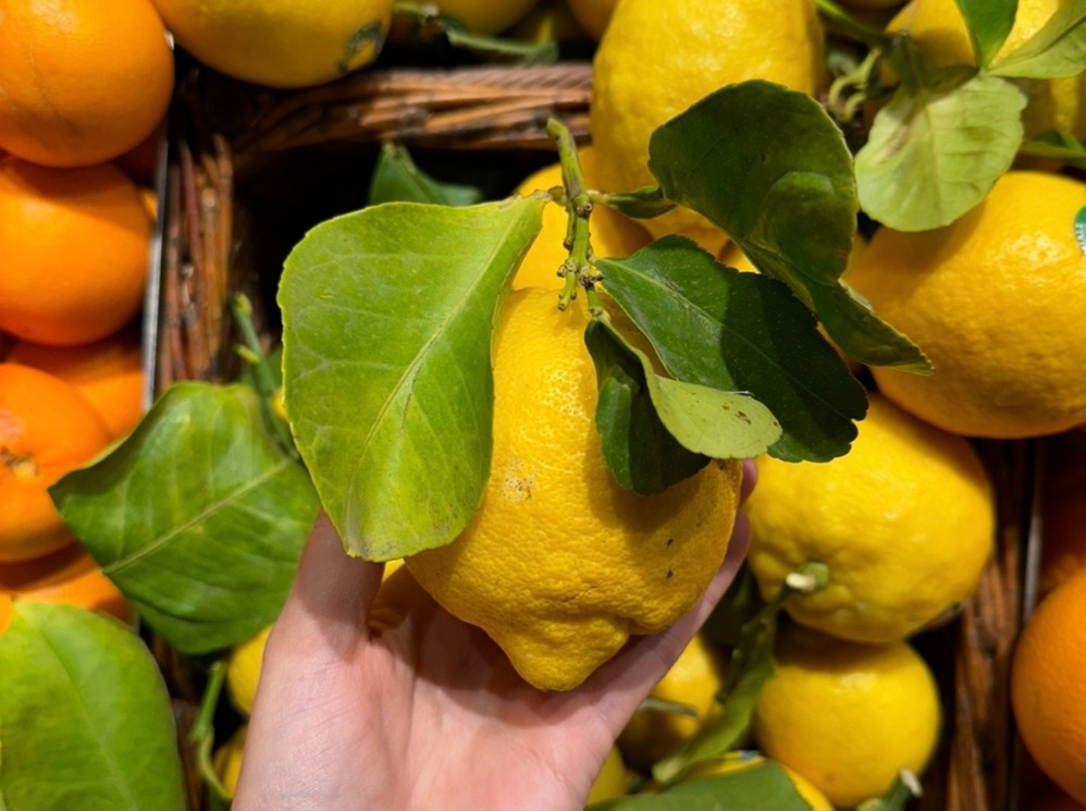 biocoop-prenommagasin-bio-local-fruits-legumes-qualite