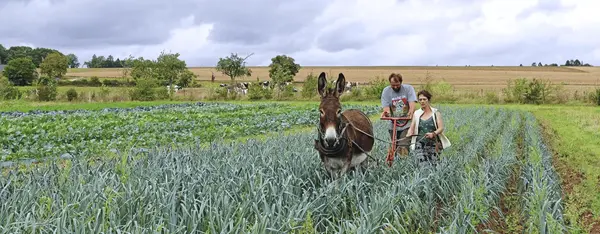 Ardennes bio, une culture de groupe